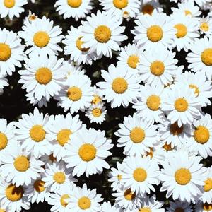 娇妻被交换黑人又大又粗又硬
