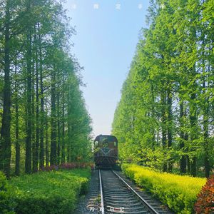 娇妻被交换黑人又大又粗又硬
